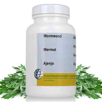 Wermut 365 mg,100 Kapseln